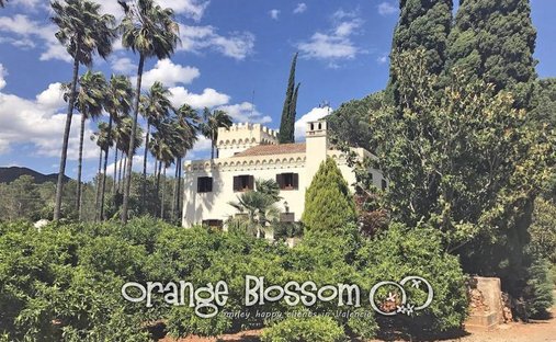 Villa in Gandia, Valencian Community, Spain 1