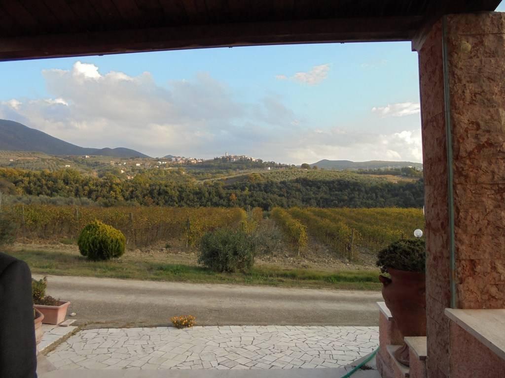 Montecchio, Umbria, Italy 5 - 12815200