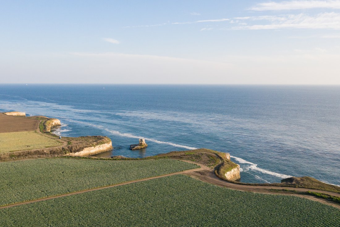 Rare And Stunning Oceanfront In Santa Cruz, California, United States