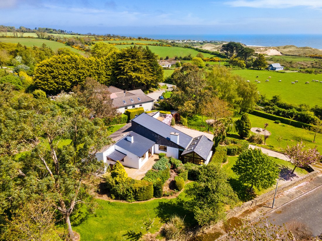 Sakura In Brittas Bay, County Wicklow, Ireland For Sale (12809907)