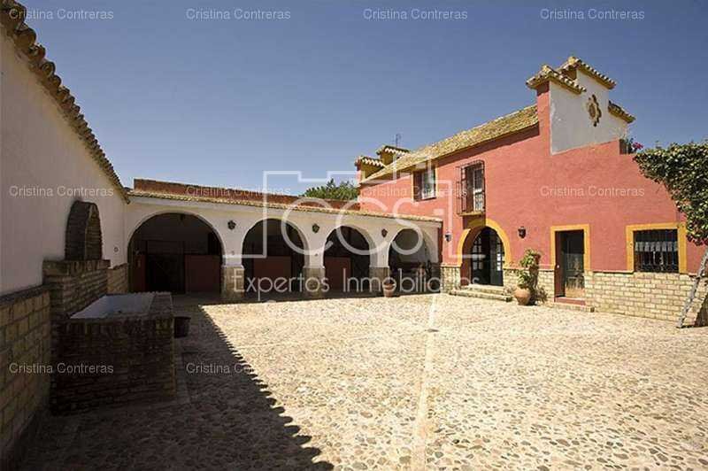 Villa in Alcala de Guadaira, Andalusia, Spain 1 - 10863584