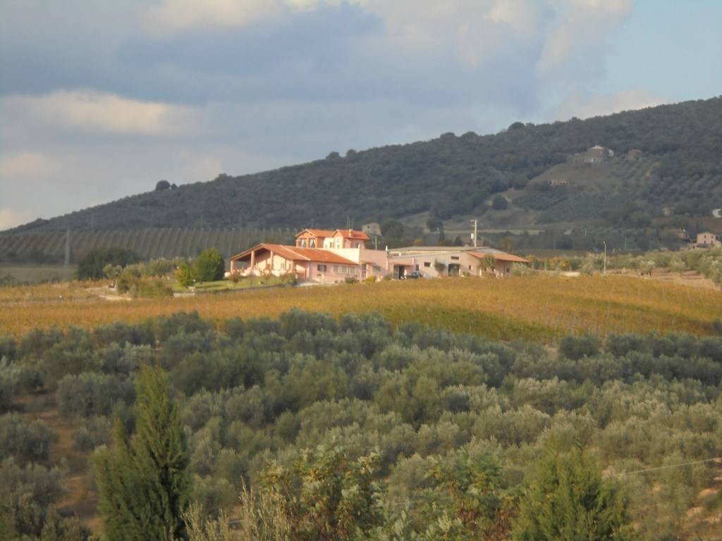 Montecchio, Umbria, Italy 1 - 12815200