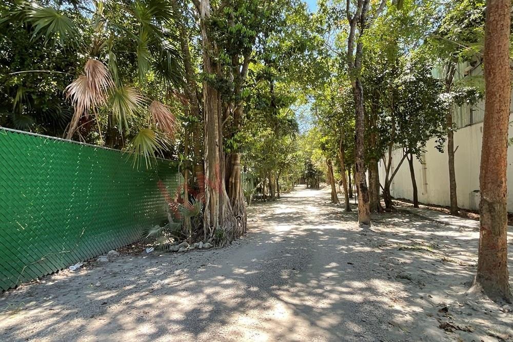 Lots And Land Tulum In Tulum, Quintana Roo, Mexico For Sale (12816720)