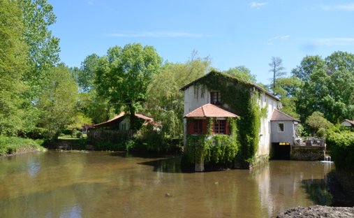 House in Tocane-Saint-Apre, Nouvelle-Aquitaine, France 1