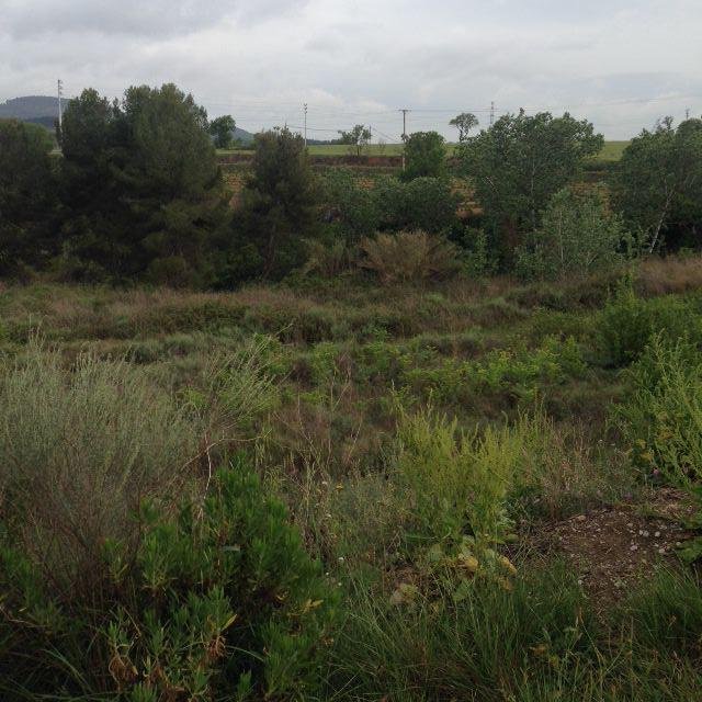 Land in Vilafranca del Penedes, Catalonia, Spain 1 - 12820148