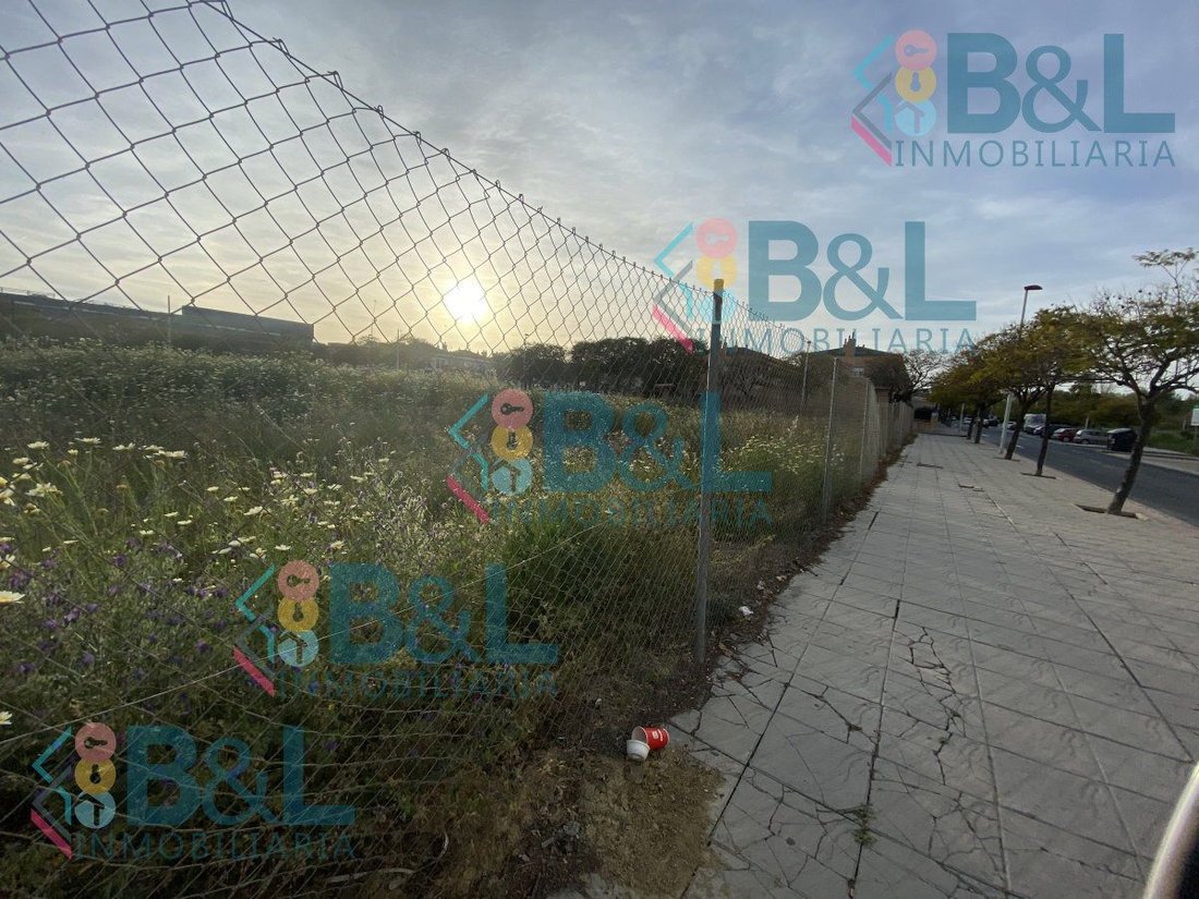 Land in Huelva, Andalusia, Spain 4 - 12824895