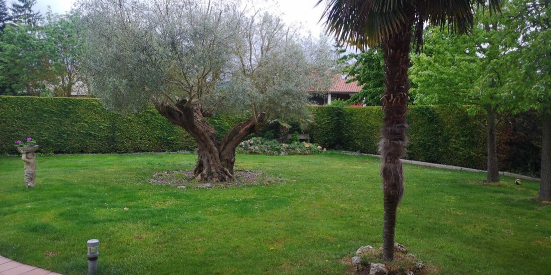 Chalet in Vitoria-Gasteiz, Basque Country, Spain 2 - 12821878