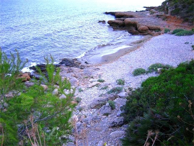 Land in Alcanar, Catalonia, Spain 4 - 12820046