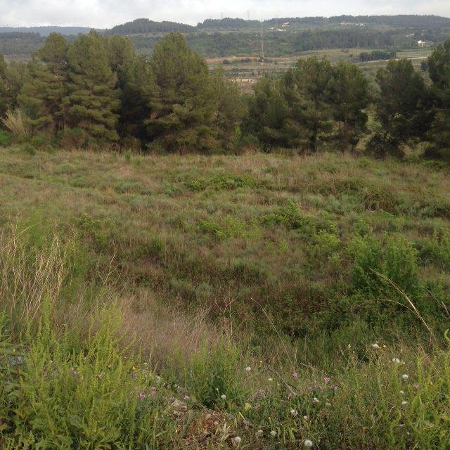Land in Vilafranca del Penedes, Catalonia, Spain 2 - 12820148