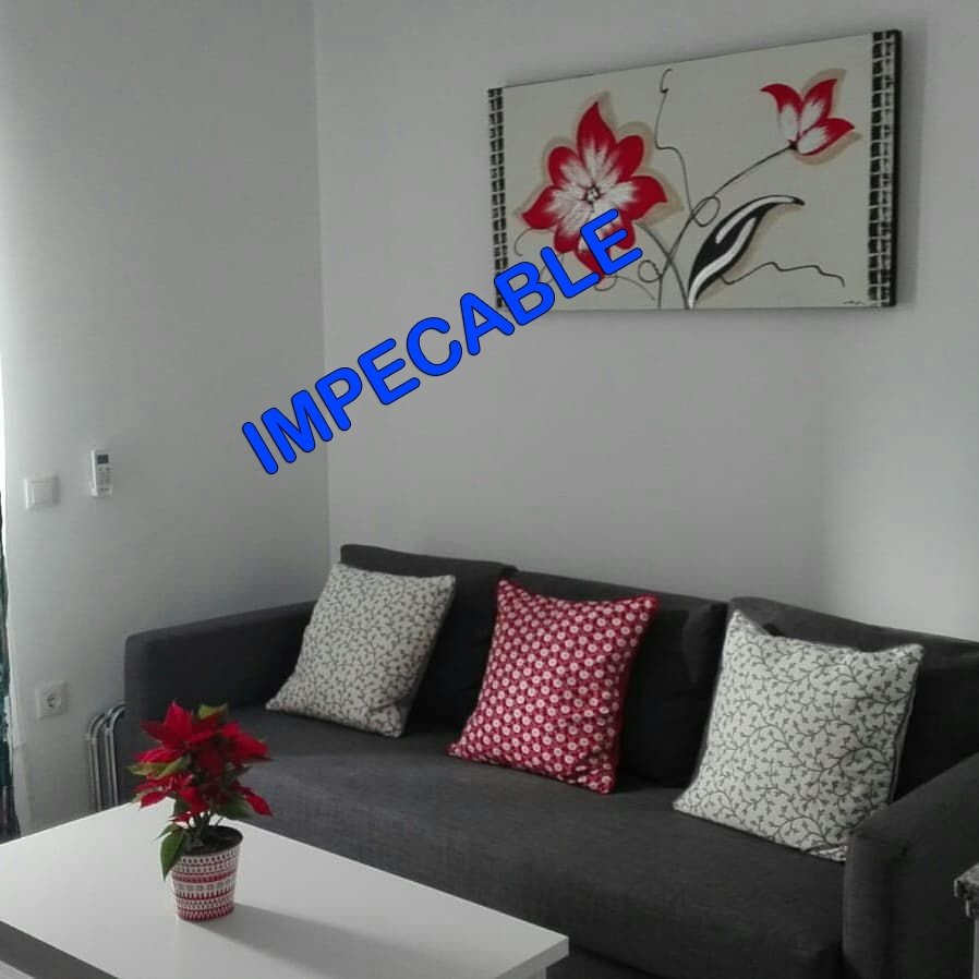 Apartamento Alquiler Vacacional Cádiz In Jerez De La Frontera
