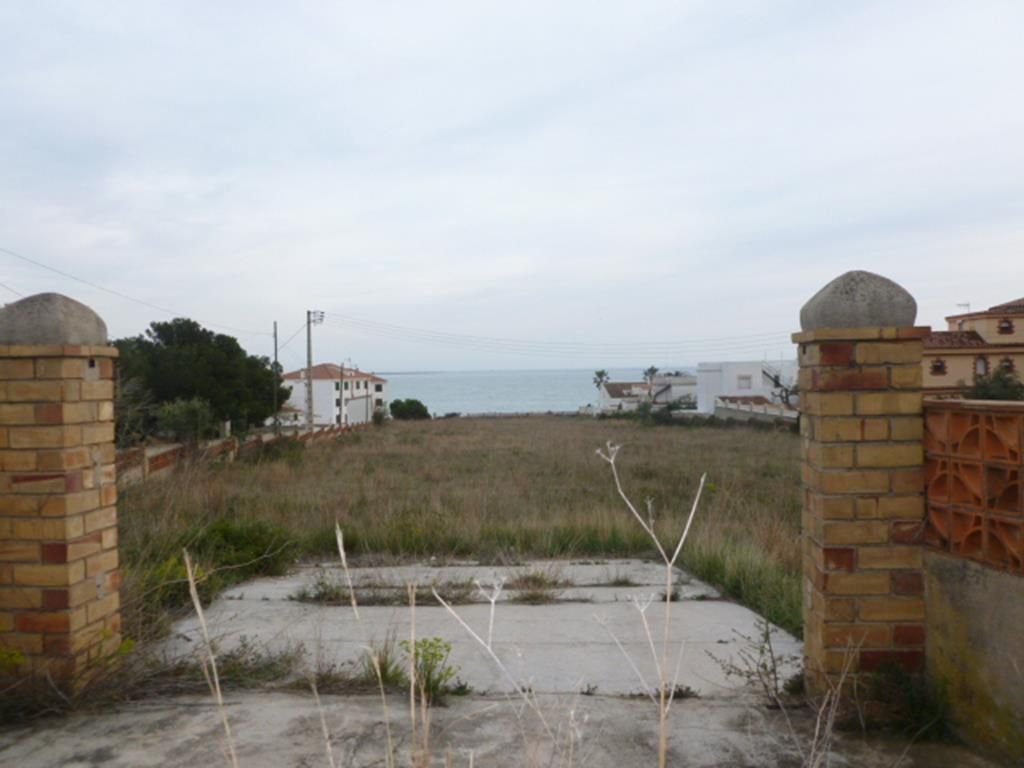 Land in Alcanar, Catalonia, Spain 1 - 12820046