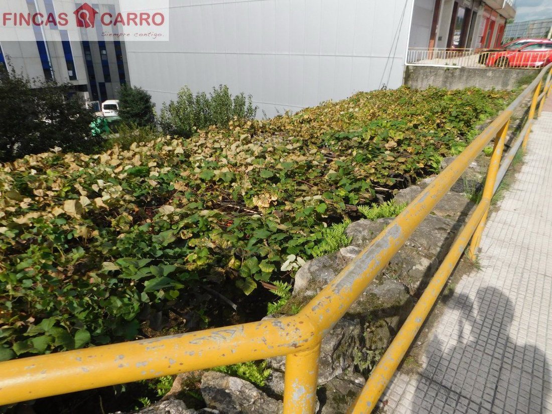 Land in Pontevedra, Galicia, Spain 4 - 12825403