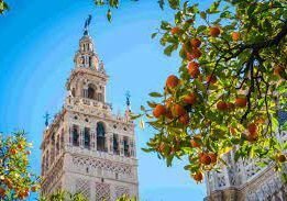 House in Casco Antiguo, Seville, Spain 1 - 12818498