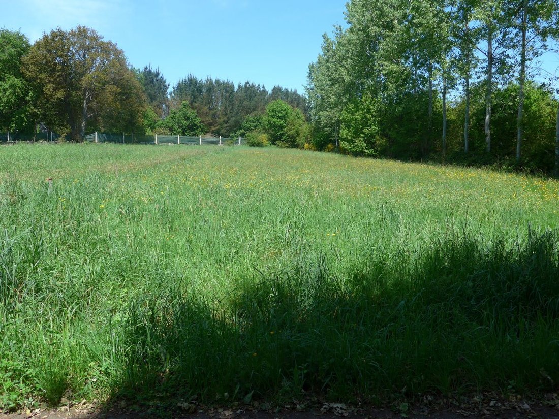 Terreno a Lugo, Galizia, Spagna 1 - 12820729