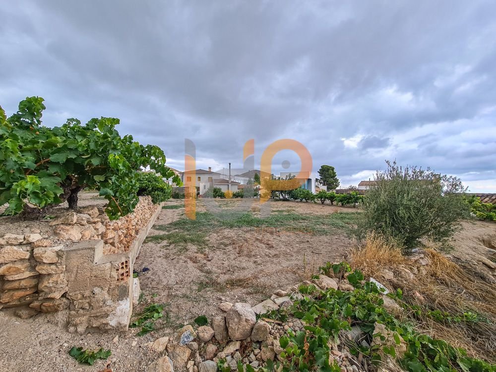 Land in Oria, Andalusia, Spain 4 - 12821655