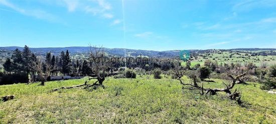 Finca en San Martín del Tesorillo, Andalucía, España 1 - 12822651