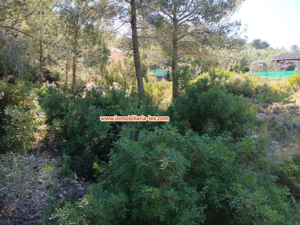 Land in Denia, Valencian Community, Spain 5 - 12821590