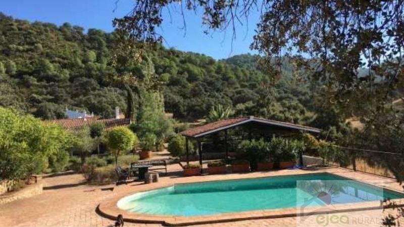 Chalet in Distrito Centro, Cordoba, Spain 2 - 12818237