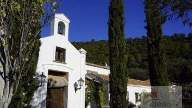 Chalet in Distrito Centro, Cordoba, Spain 5 - 12818237