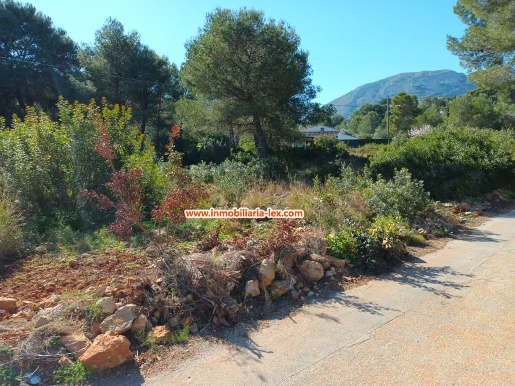 Parcela Venta Alicante In Alicante, Valencian Community, Spain For Sale