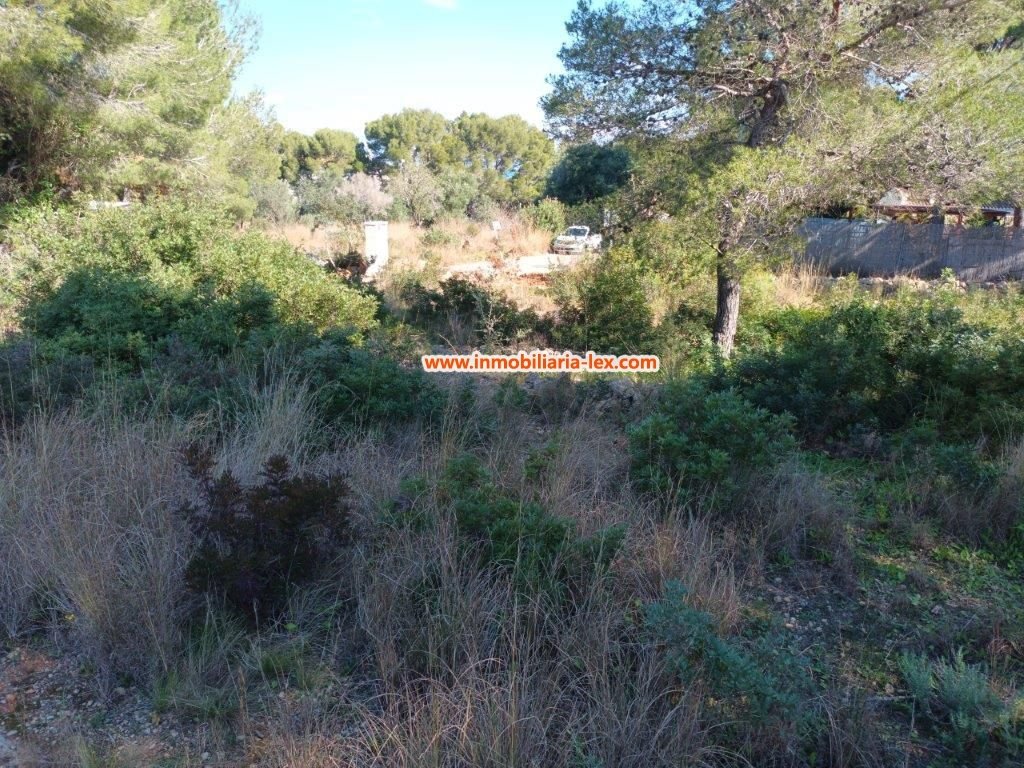 Land in Denia, Valencian Community, Spain 4 - 12821590