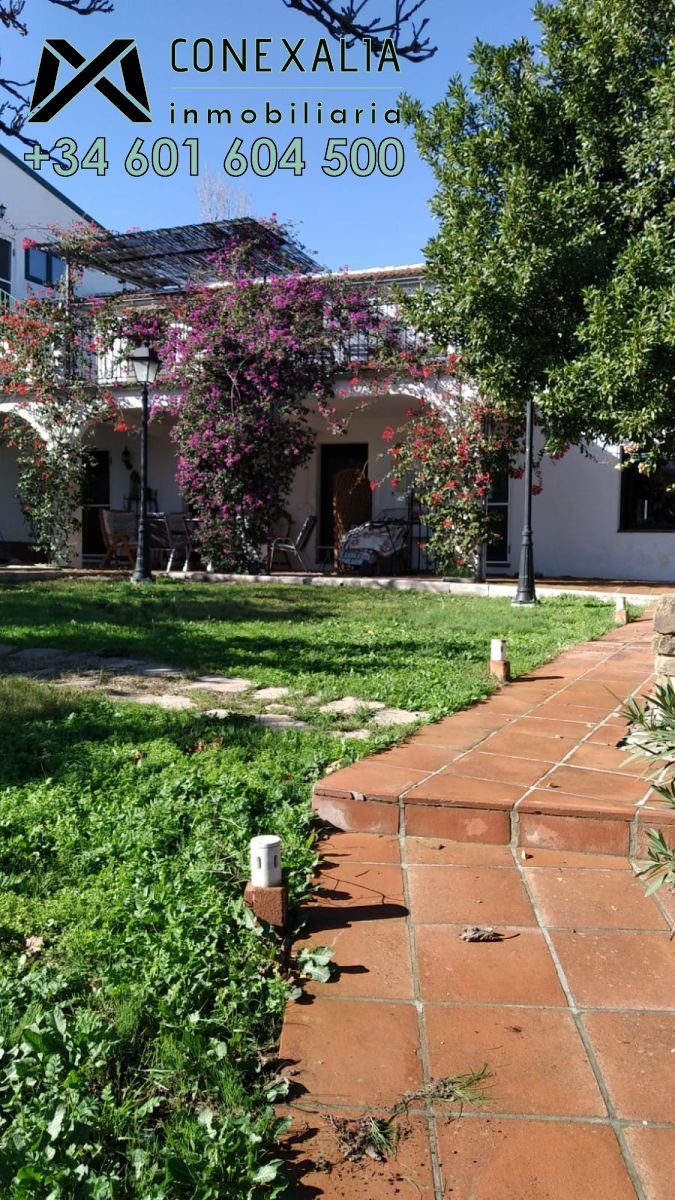 Finca in El Gastor, Andalusia, Spain 4 - 12824937
