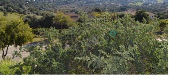 Land in Sotogrande, San Roque, Andalusia 4 - 12822753
