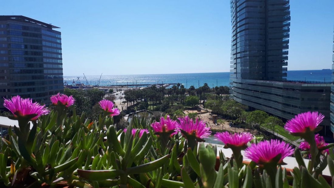 Apartment in Sant Martí, Barcelona, Spain 1 - 12820928