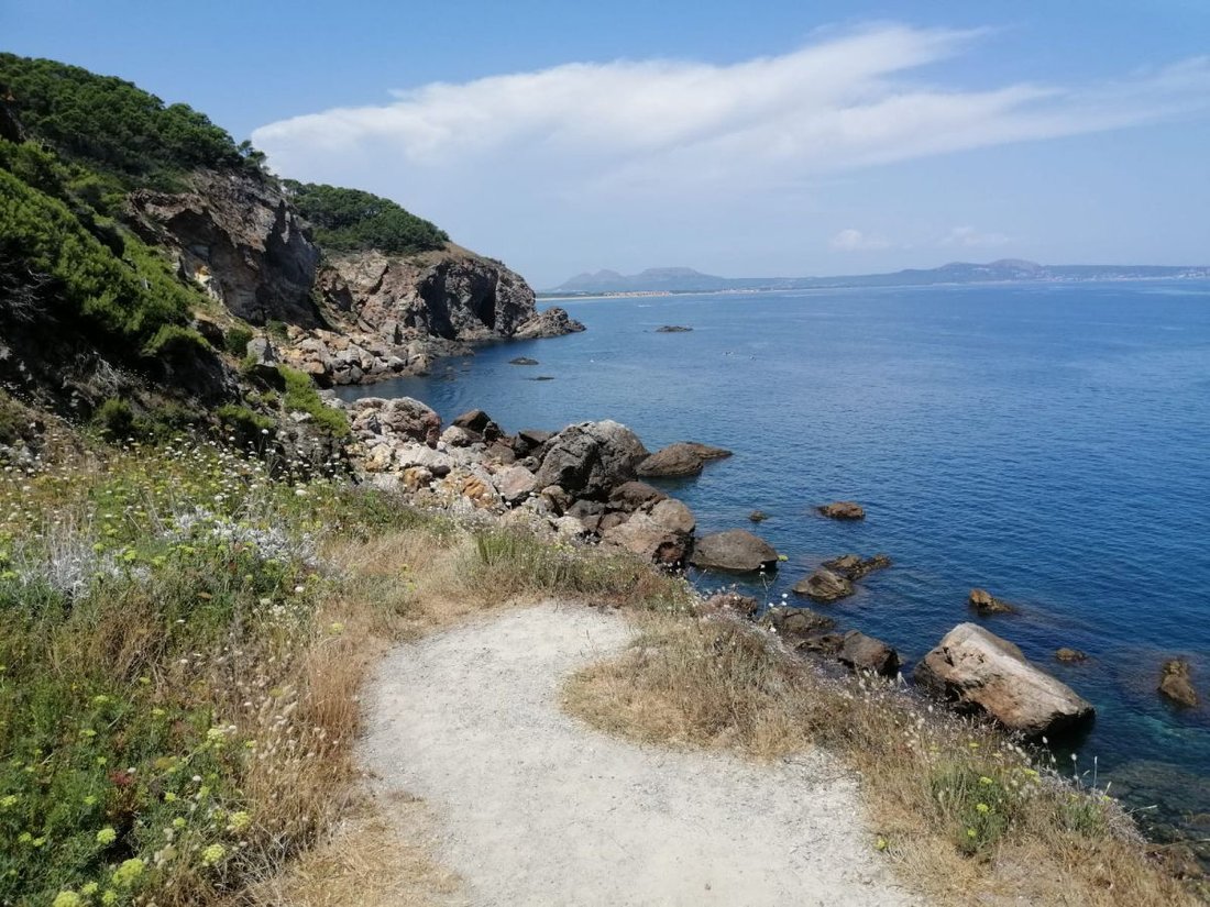 Land in Begur, Catalonia, Spain 1 - 12824054