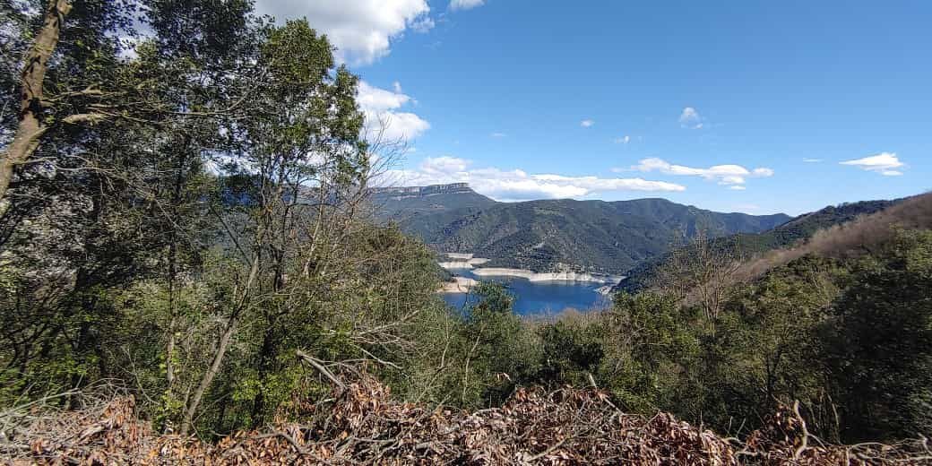 Land in Sant Feliu de Pallerols, Catalonia, Spain 2 - 12824141