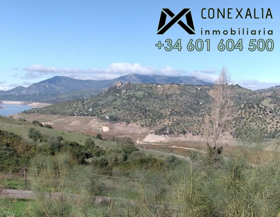 Finca in El Gastor, Andalusia, Spain 1 - 12824937