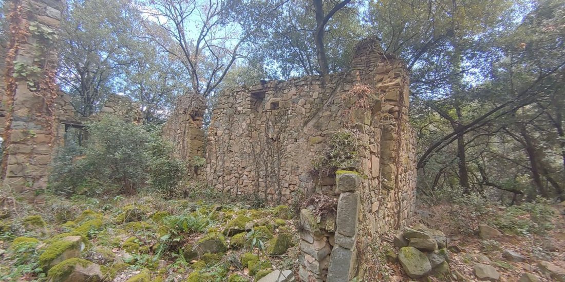 Land in Sant Feliu de Pallerols, Catalonia, Spain 3 - 12824141