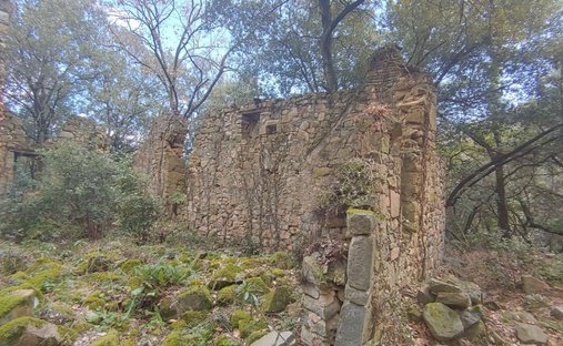 Terrain à Sant Feliu de Pallerols, Catalogne, Espagne 1