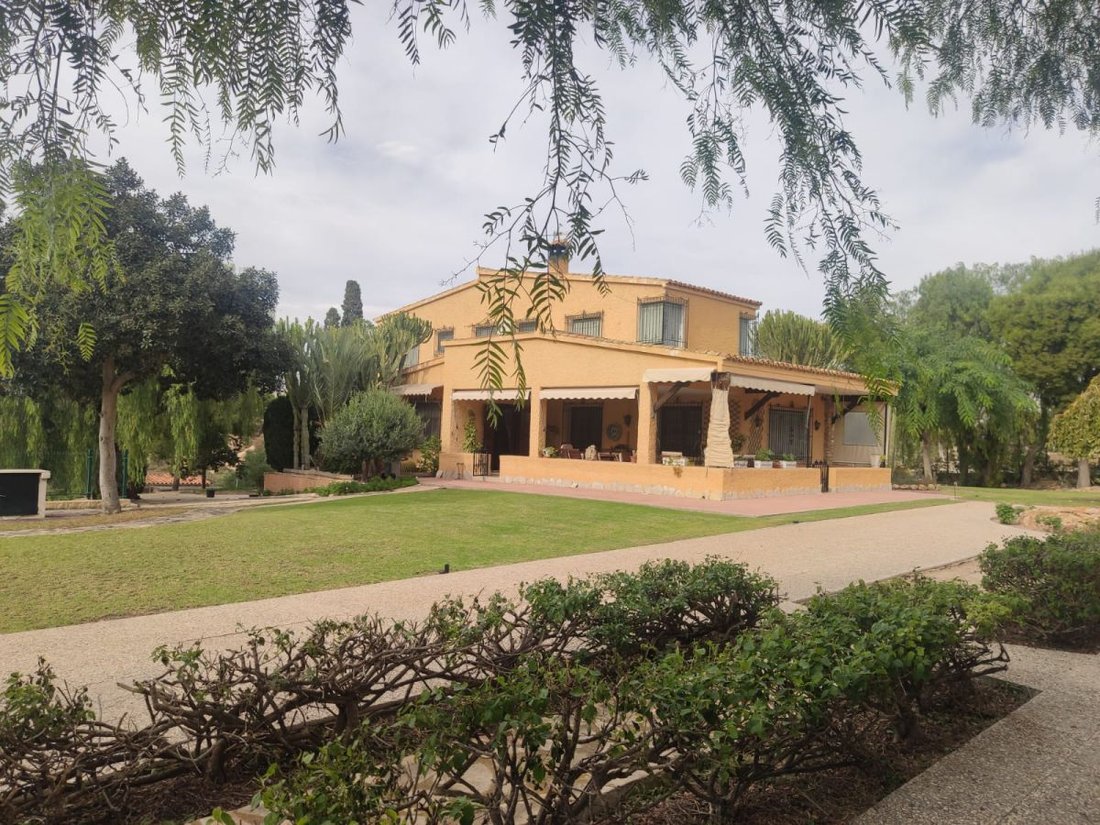 Chalet in Elx / Elche, Valencian Community, Spain 3 - 12832785
