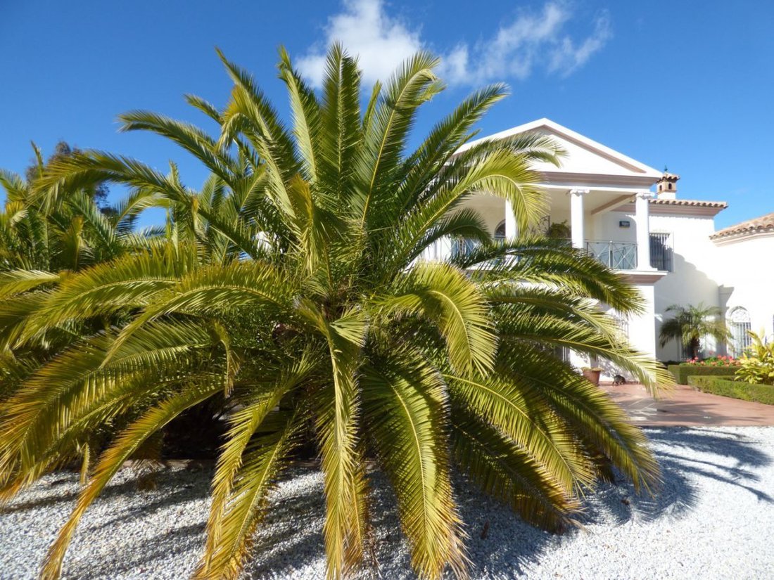 Chalet in Vinuela, Andalusia, Spain 3 - 12833405
