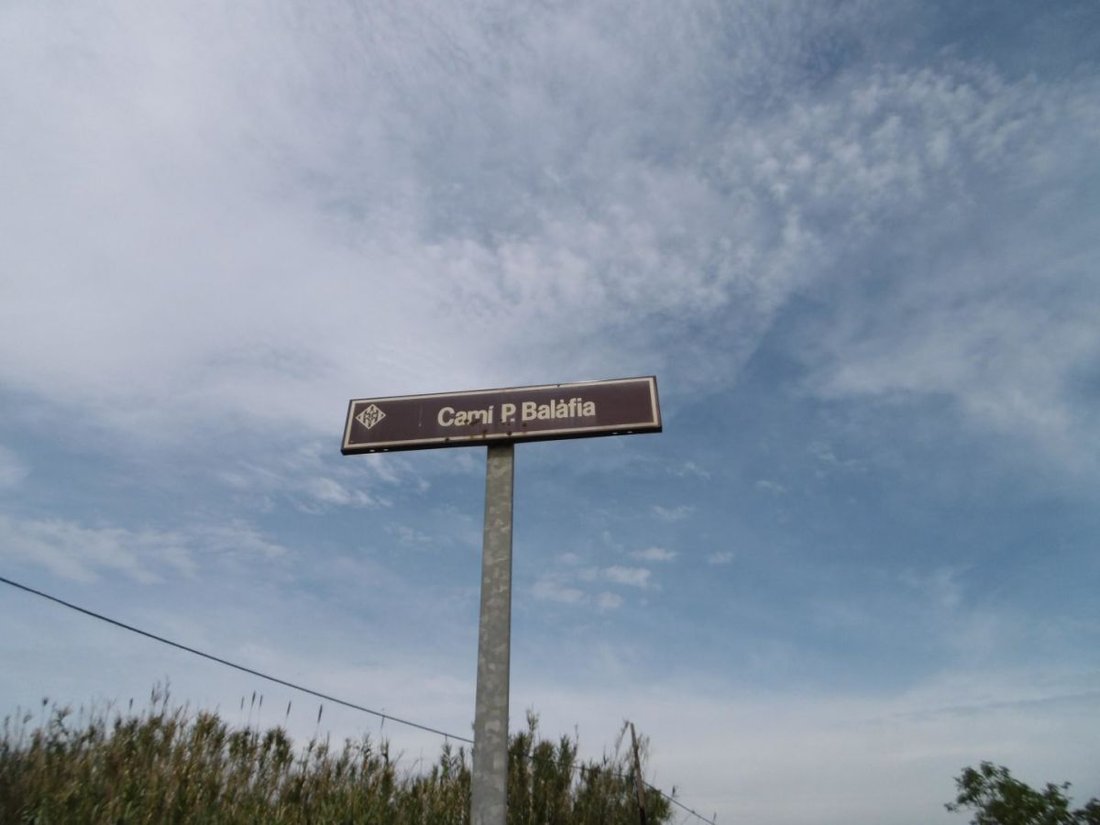 Land in Lleida, Catalonia, Spain 4 - 12833383