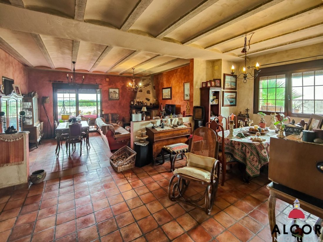 Chalet in Vinaros, Valencian Community, Spain 4 - 12832740