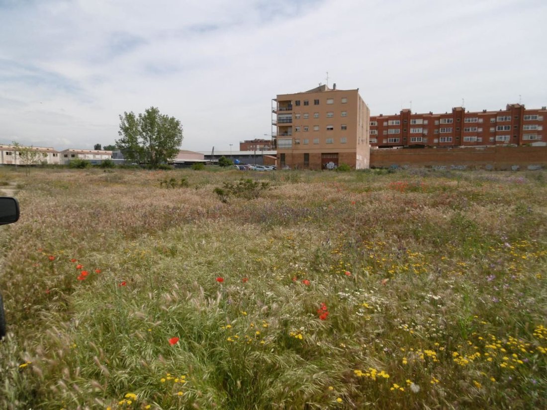 Land in Lleida, Catalonia, Spain 5 - 12833383