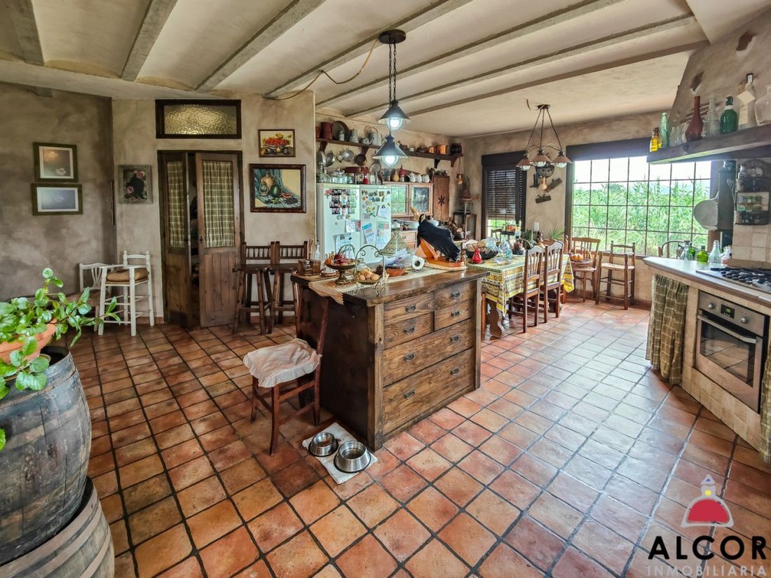 Chalet in Vinaros, Valencian Community, Spain 3 - 12832740