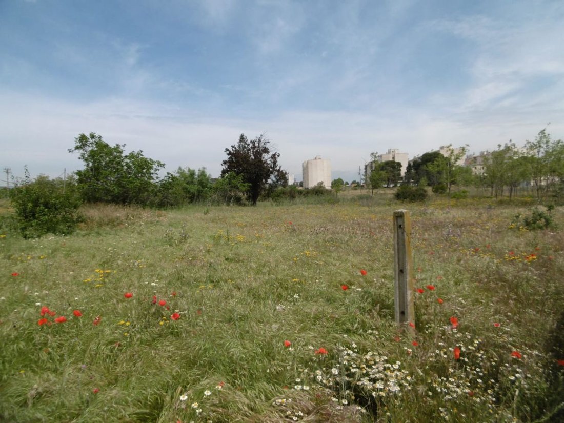 Land in Lleida, Catalonia, Spain 3 - 12833383