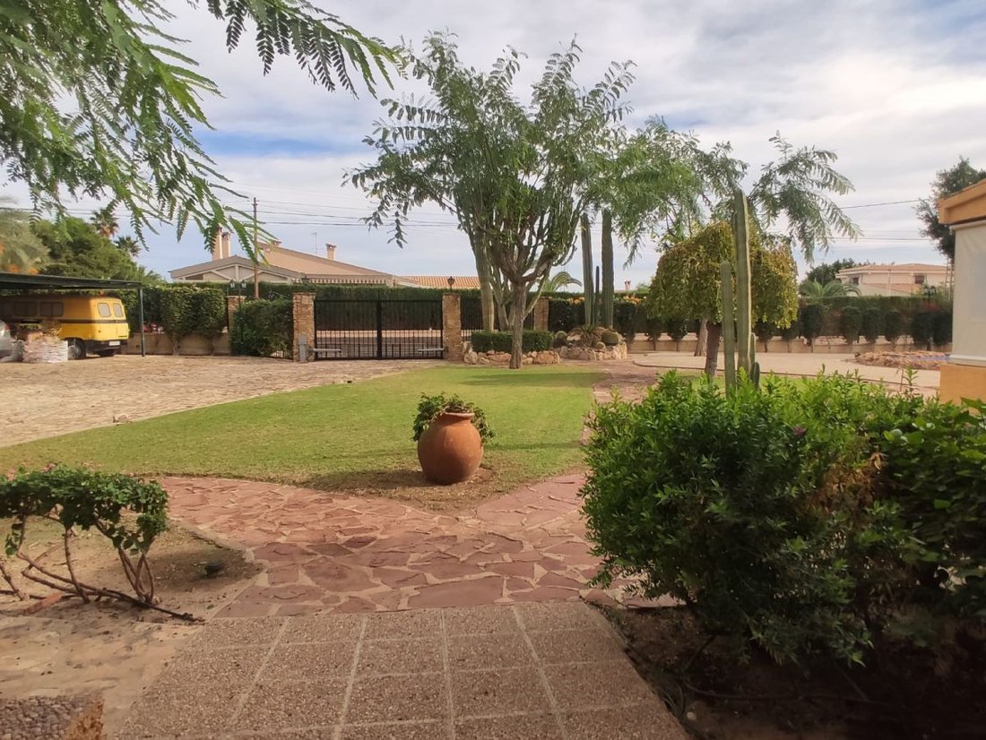 Chalet in Elx / Elche, Valencian Community, Spain 2 - 12832785