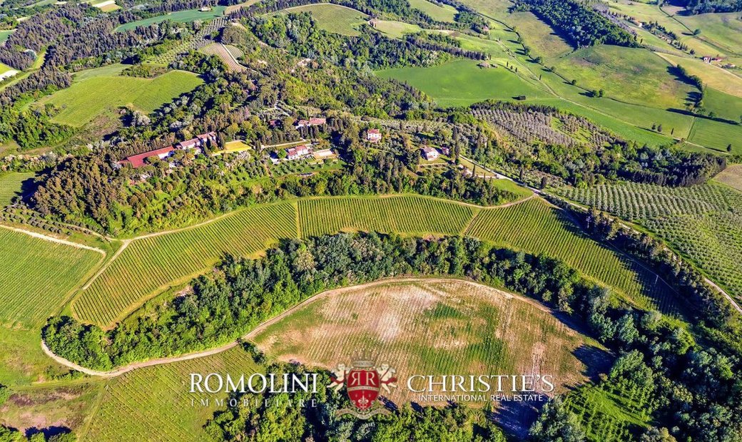 Chianti 200 Ha Wine Estate For Sale Between In Molino D'egola, Tuscany