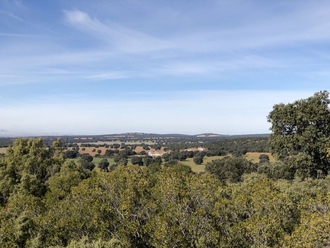 Farm Ranch in Albacete, Castile-La Mancha, Spain 3 - 12834987