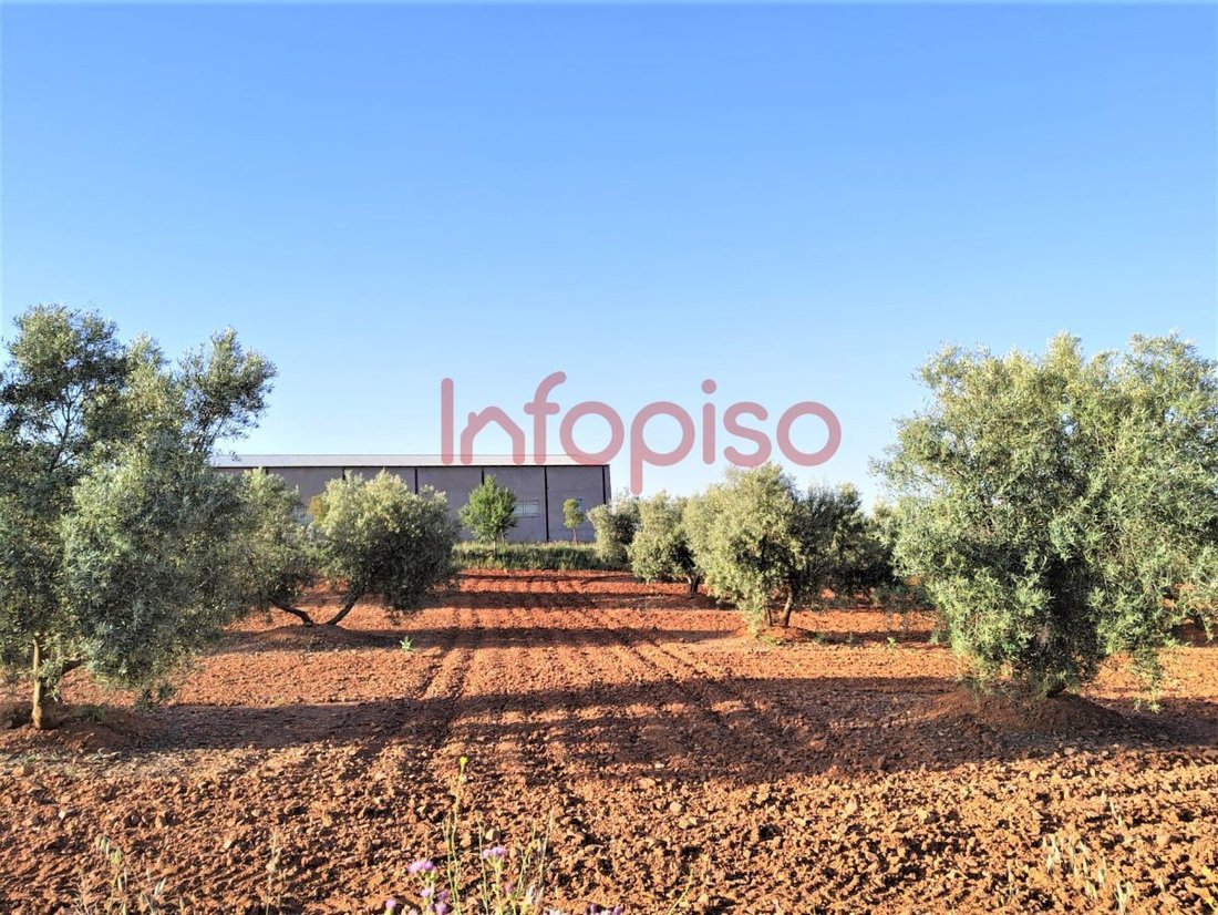 Farm Ranch in Torrenueva, Castile-La Mancha, Spain 4 - 12836204