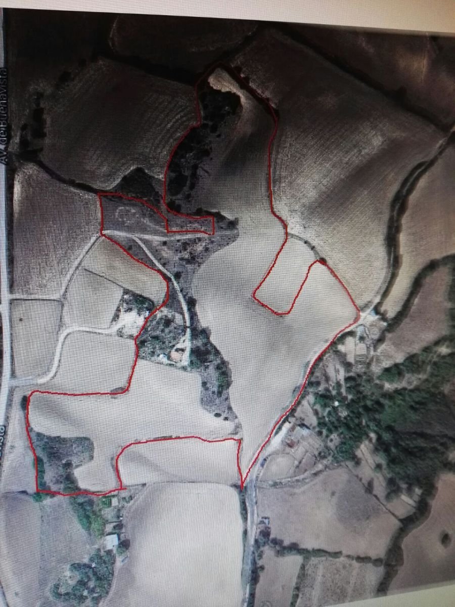 Farm Ranch in Vejer de la Frontera, Andalusia, Spain 5 - 12834471