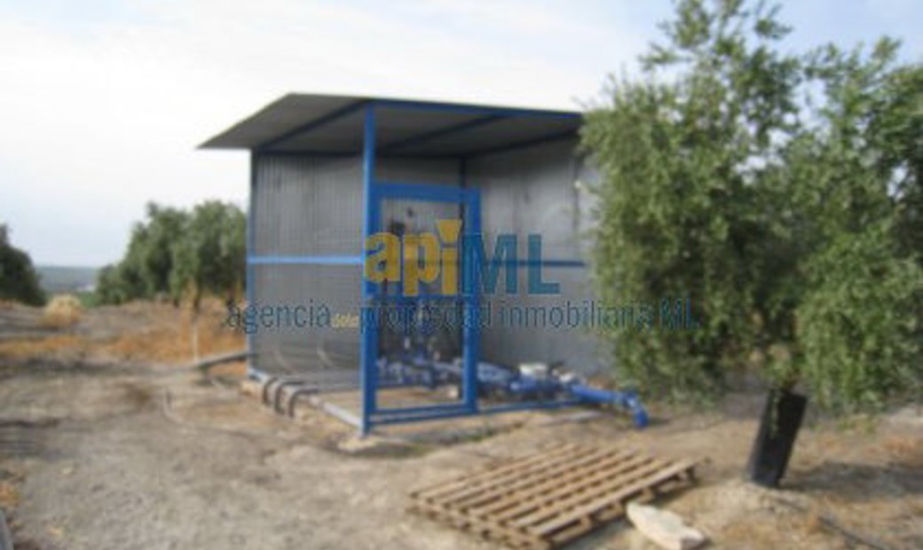 Finca Rústica Venta Sevilla In écija, Andalusia, Spain For Sale (12835922)