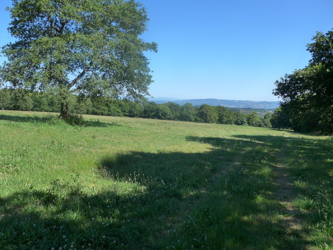 Terreno a Lugo, Galizia, Spagna 4 - 12836443