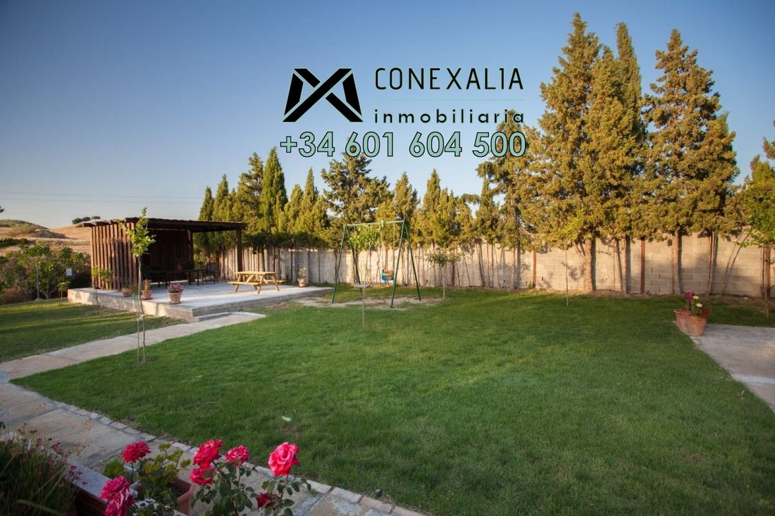 Chalet in Olvera, Andalusia, Spain 4 - 12835553