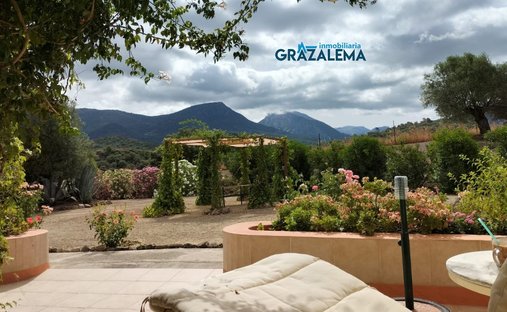 Farm Ranch in Prado del Rey, Andalusia, Spain 1