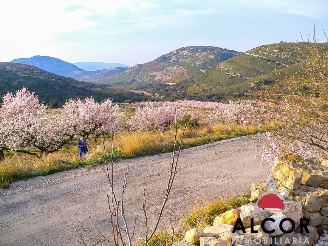 Farm Ranch in Tirig, Valencian Community, Spain 1 - 12836027